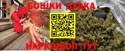 мдпв Лесосибирск
