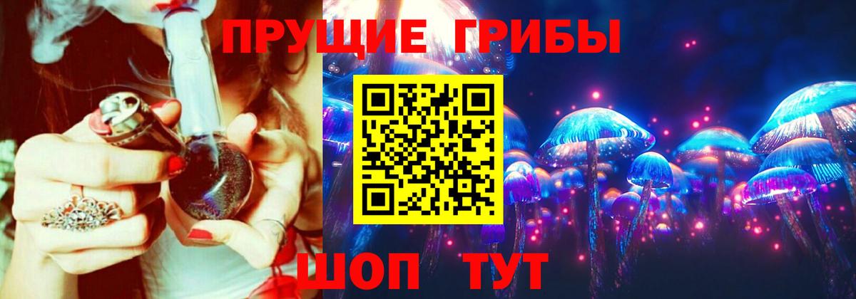 Псилоцибиновые грибы Psilocybe Вятские Поляны